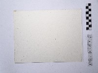 碧潭情人洞藏品圖，第2張