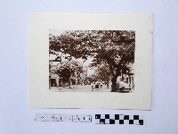 街景藏品圖，第1張