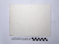 戴斗笠者藏品圖，第2張