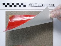 植物藏品圖，第2張