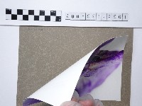 烏頭花藏品圖，第2張