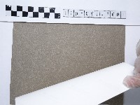 蘭花藏品圖，第2張