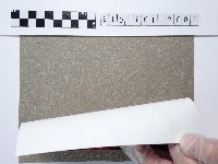 粉色菊花藏品圖，第2張