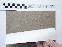 紅色菊花藏品圖，第2張