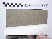 桃粉色櫻花藏品圖，第2張