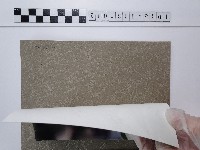 紫薇藏品圖，第2張