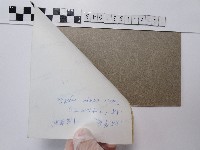 紫薇藏品圖，第2張