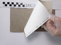 紫薇藏品圖，第3張