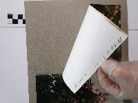 紫薇藏品圖，第2張