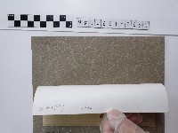 茴香藏品圖，第2張