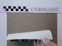 花圃藏品圖，第2張