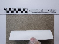 桂花藏品圖，第2張