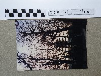 神社藏品圖，第1張