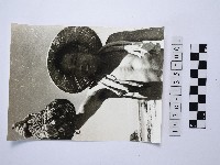 戴斗笠者藏品圖，第1張