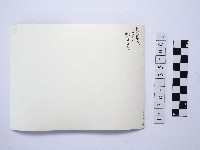 戴斗笠者藏品圖，第2張