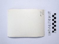 戴斗笠者藏品圖，第2張