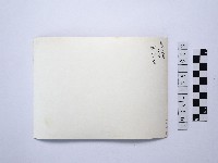 戴斗笠者藏品圖，第2張