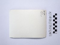 戴斗笠者藏品圖，第2張