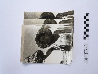 戴斗笠者藏品圖，第1張