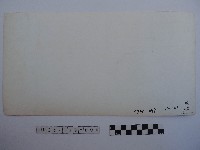 大豹吊橋藏品圖，第2張