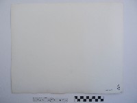 三峽拱橋藏品圖，第2張