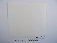 清晨的浣衣藏品圖，第2張