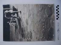 低頭埋首的人藏品圖，第1張