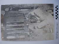 倚靠廟柱的人藏品圖，第1張