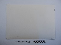 龍山寺石碑藏品圖，第2張