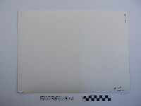 龍山寺石碑藏品圖，第2張