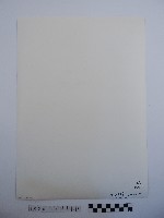 廟門藏品圖，第2張