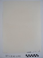 在名勝古蹟龍山寺看戲的人們藏品圖，第2張