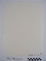 參拜者藏品圖，第2張