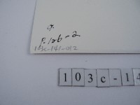 石雕龍柱藏品圖，第2張