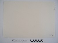 屋簷龍飾藏品圖，第2張