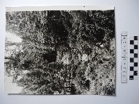 曾文溪源頭藏品圖，第1張