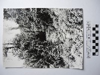 曾文溪源頭藏品圖，第1張