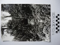 曾文溪源頭藏品圖，第1張