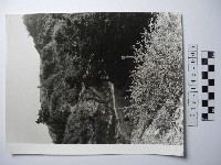 沙拉茅的清晨藏品圖，第1張