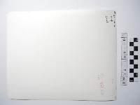 沙拉茅的清晨藏品圖，第2張