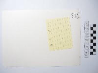 沙拉茅的清晨藏品圖，第2張