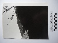 山巒藏品圖，第1張