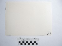 兩人藏品圖，第2張