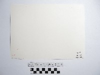 兩人藏品圖，第2張