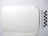 山巒藏品圖，第2張