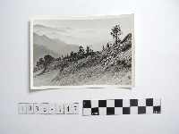 高山清境藏品圖，第1張