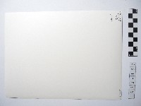 揹著背簍的人藏品圖，第2張