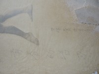 青春的活力藏品圖，第2張