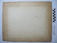 澎湖高粱藏品圖，第2張