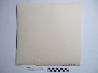 池塘裡的鵝藏品圖，第2張